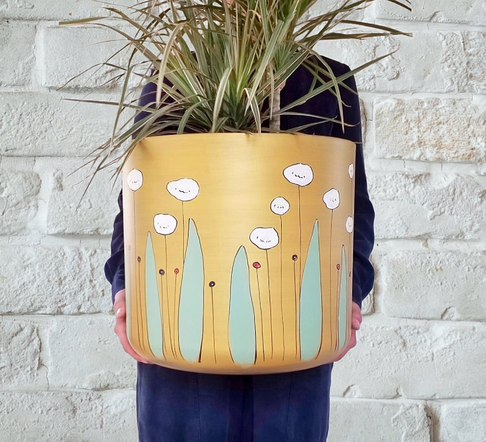 Plant Mother-of-Pearl Goethe